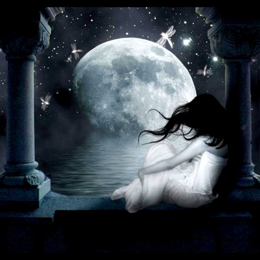 Meet your Posher, Shondria